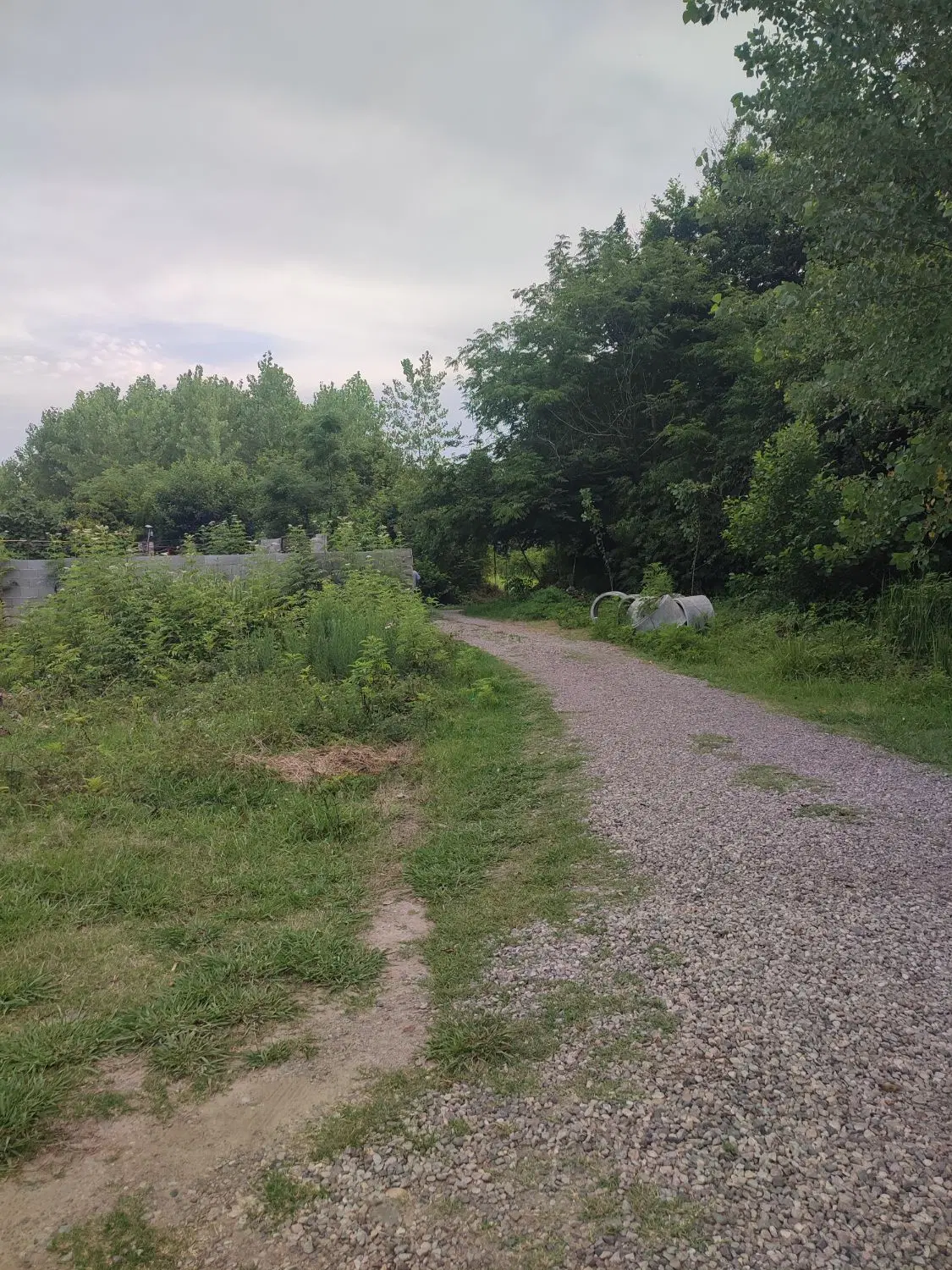 زمین با سند تک برگ و پروانه ساخت