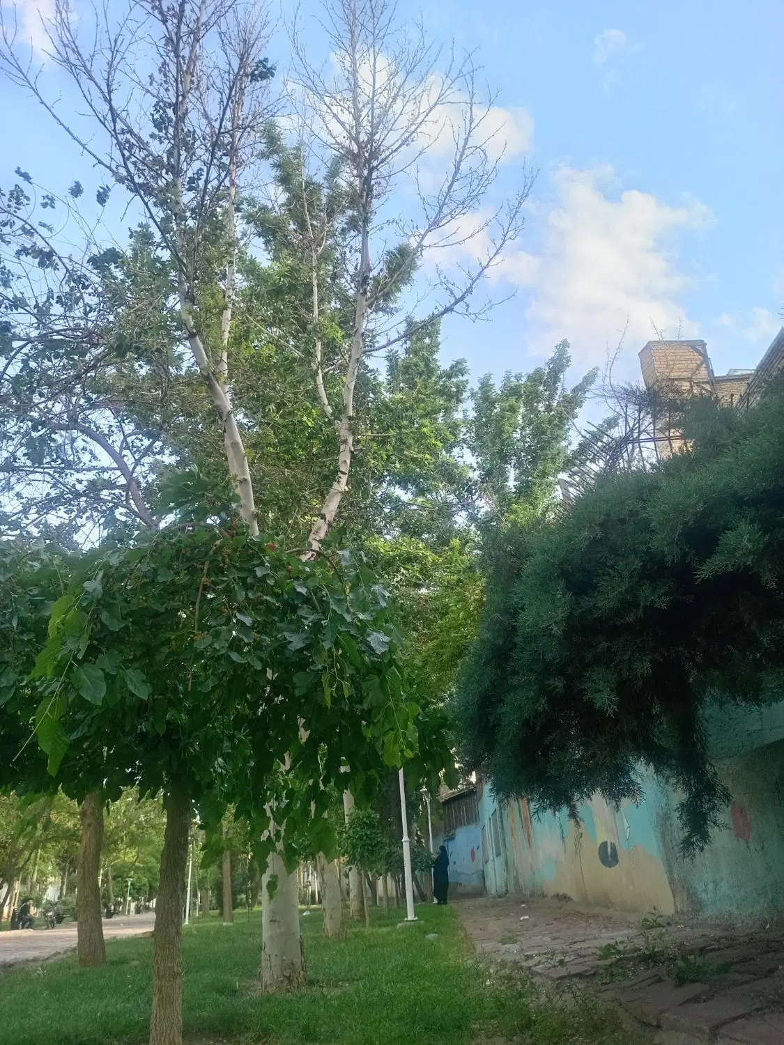 تجاری حاشیه حافظ