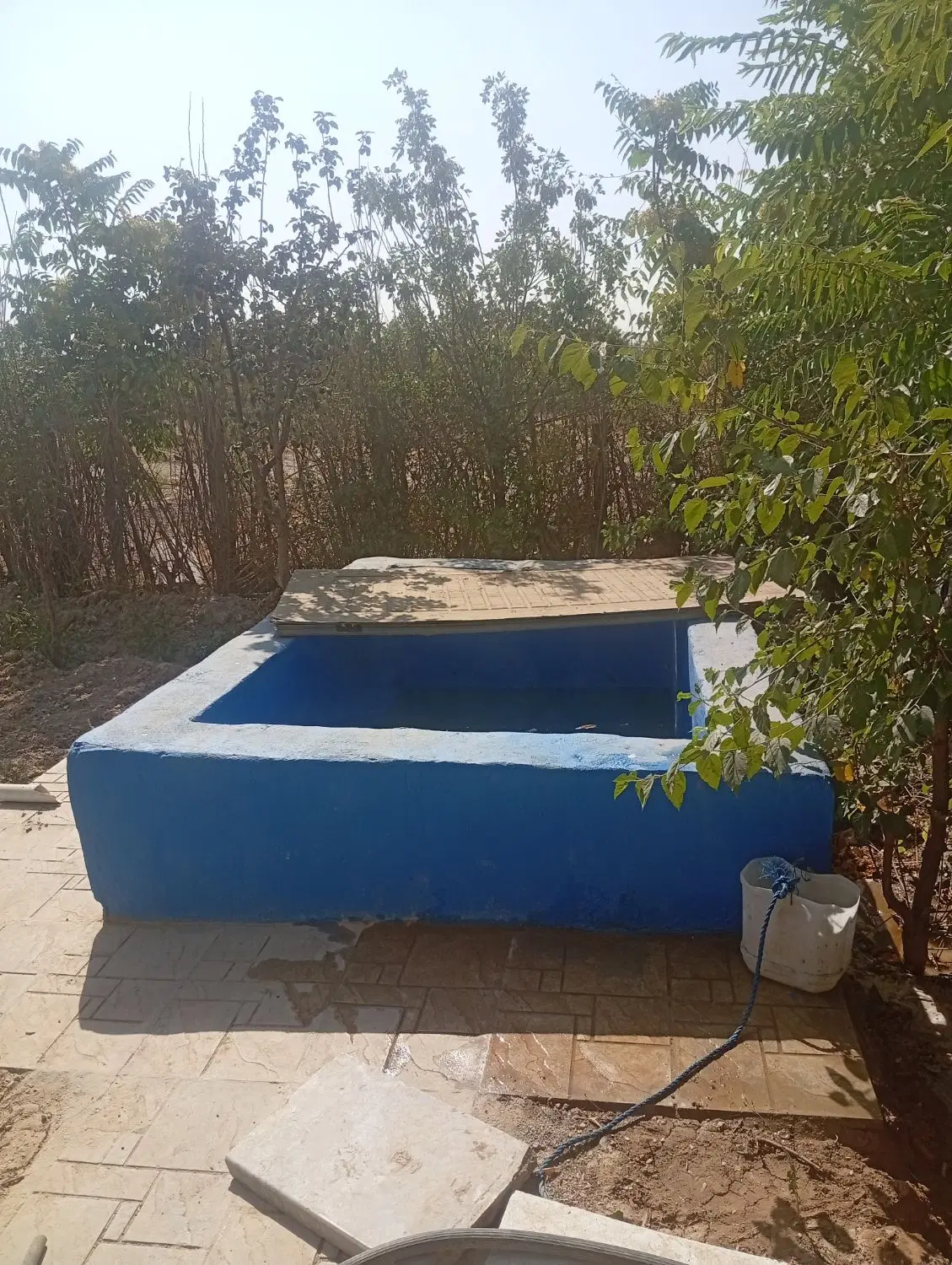 باغچه فروشی