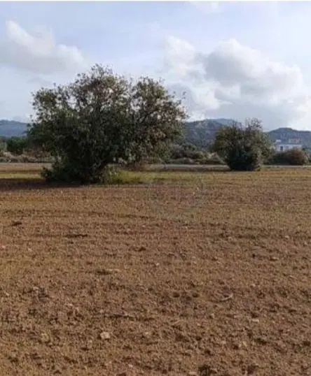 زمین کرناچی