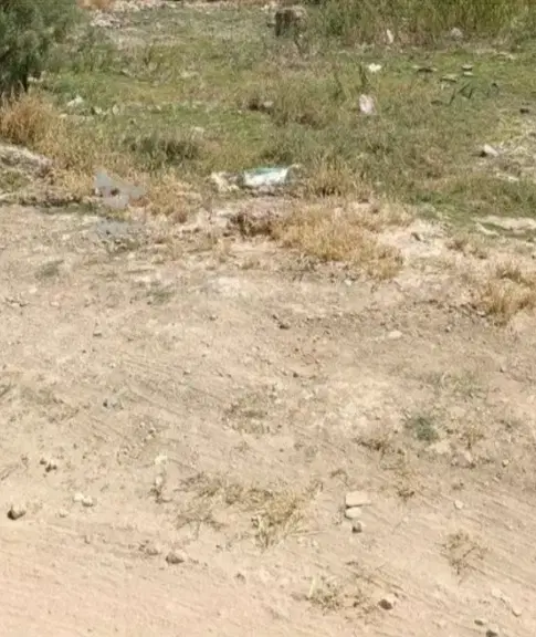 زمین نقلی