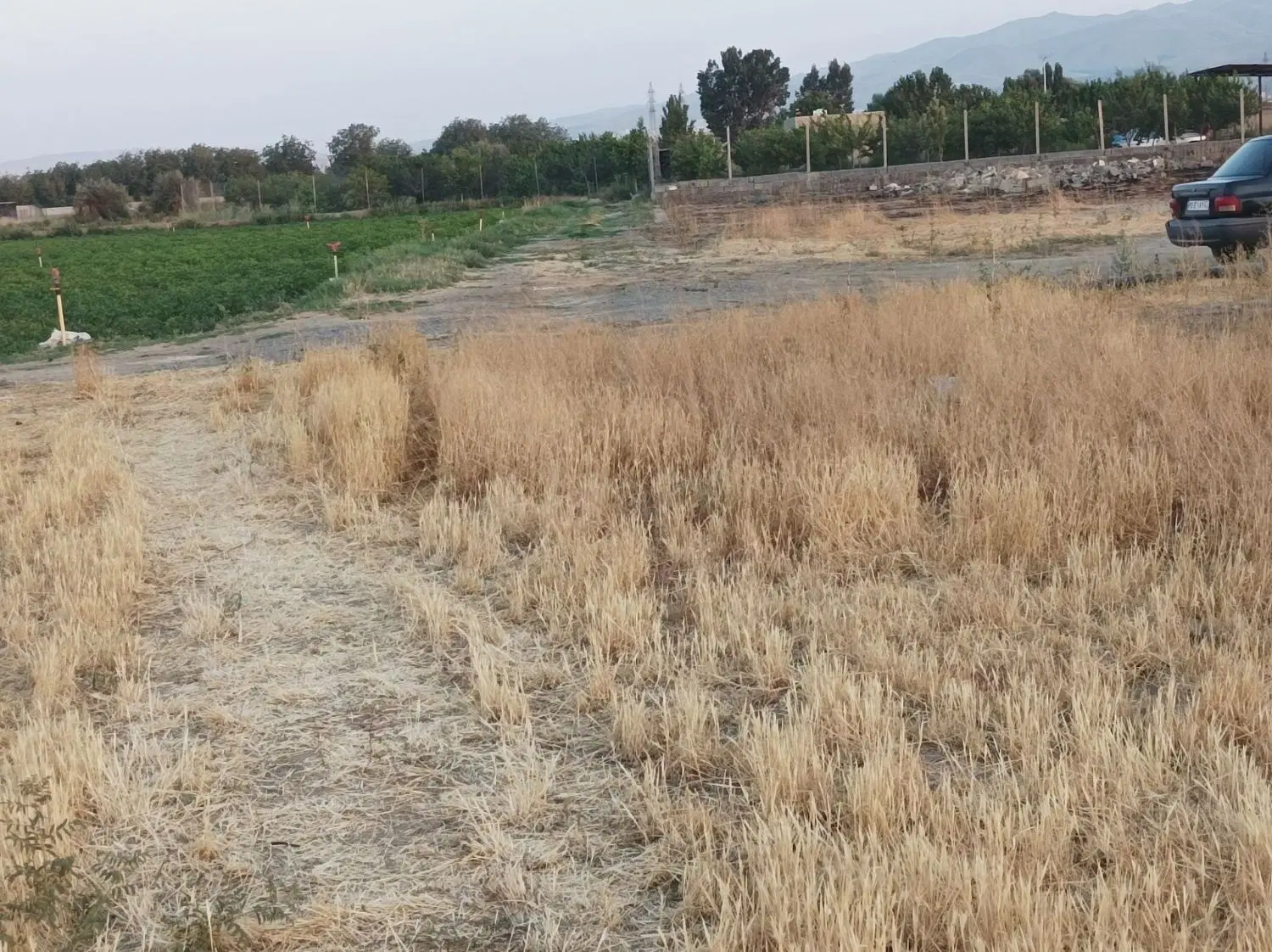 ۸۵۰متر زمین باغی همدان