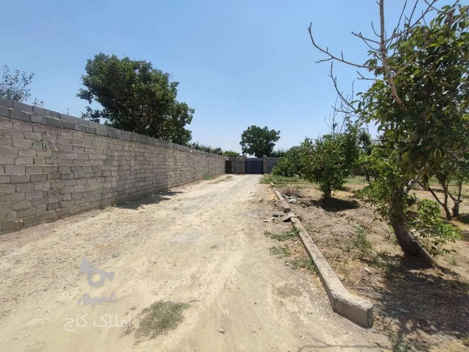 فروش باغ-باغچه-زمین کشاورزی(سند دار)