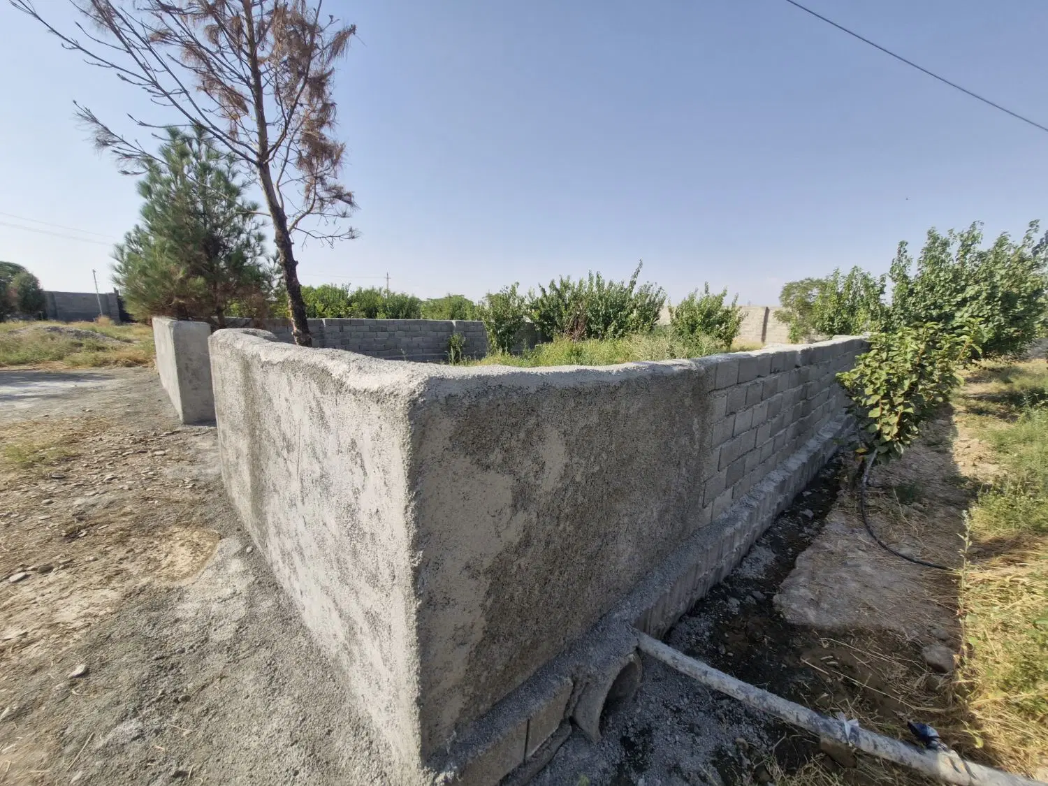 سند تک برگ عرصه و عیان_باغچه