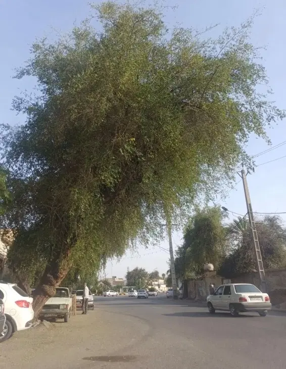 ملک ۱۸۰متری وسط بازار