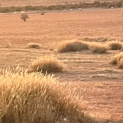 زمین مسکونی روستای سرقنات