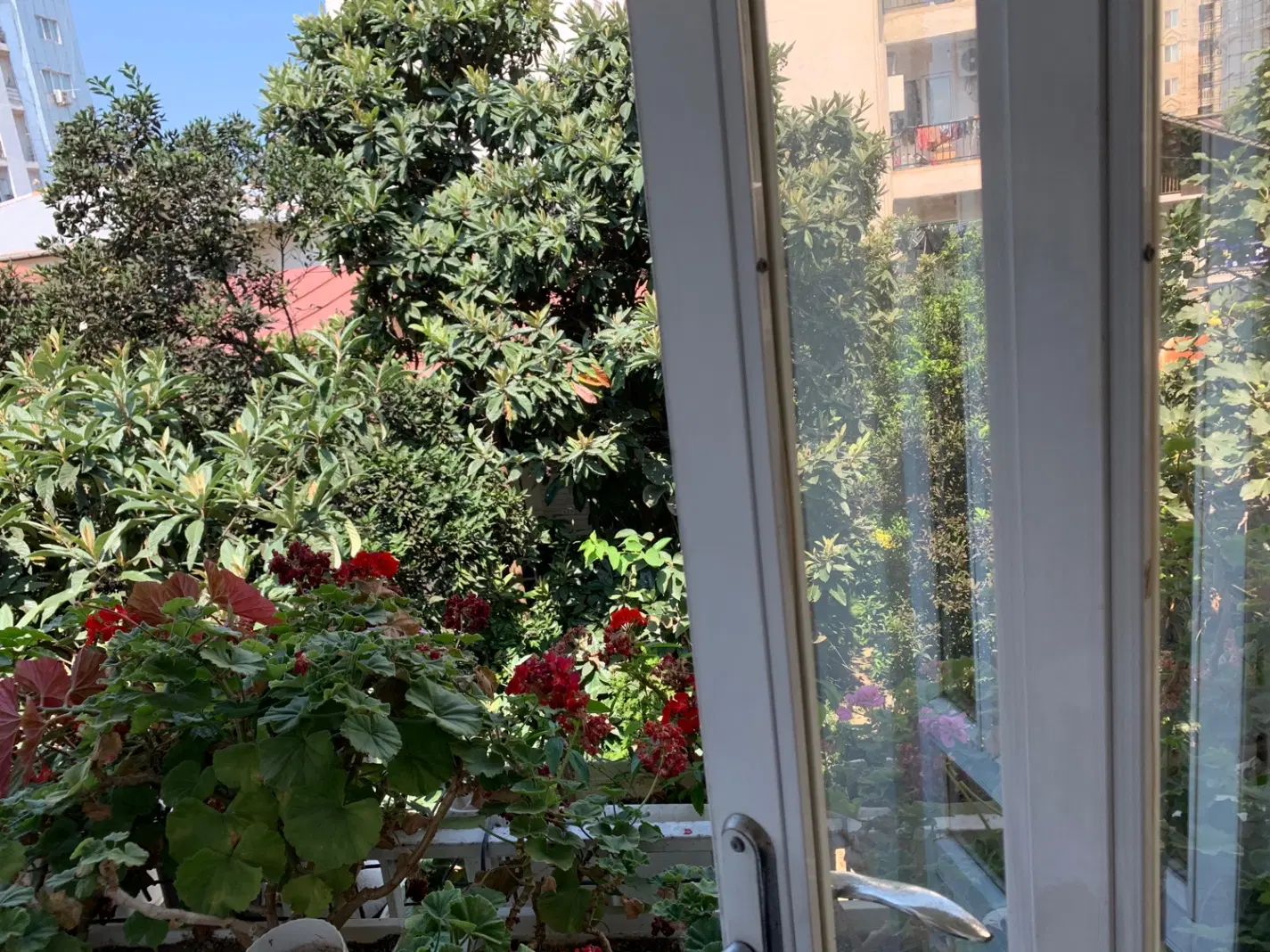 خانه ویلایی بر اصلی خیابان کشاورز