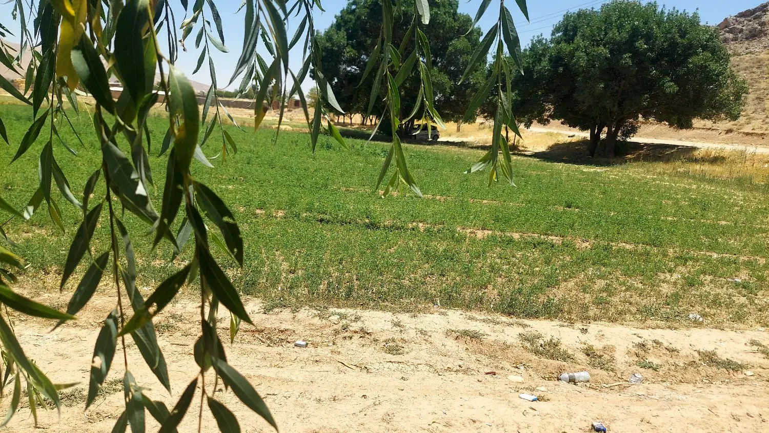 ۲۰۰۰ متر زمین در حاشیه صدرا با مجوز باغی