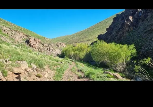 زمین جوانی جمعیت