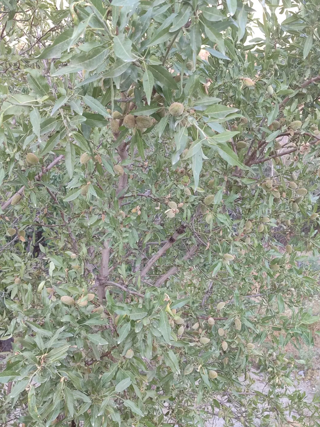 ۳۰۰۱ متر بی تکرار