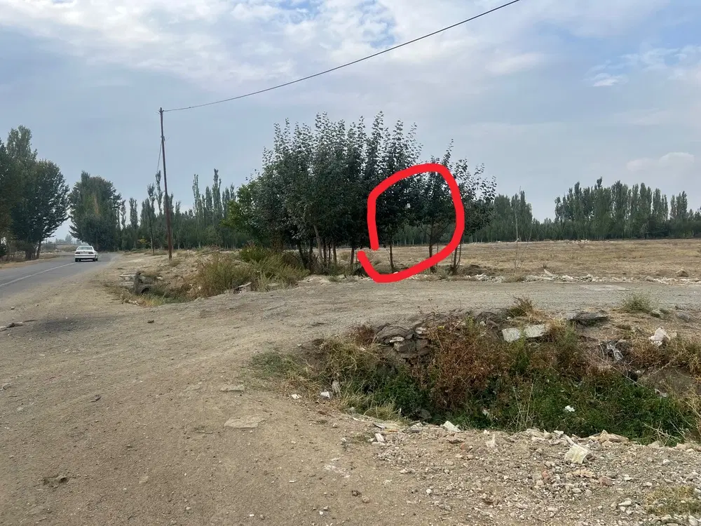 فروش قطعه تفکیکی پرند