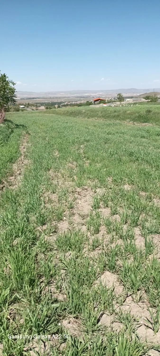 زمین سندار زراعی باغی