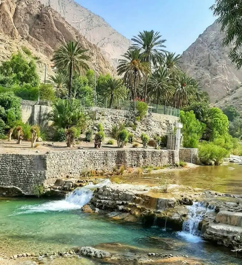 زمین سیاهو زاکین