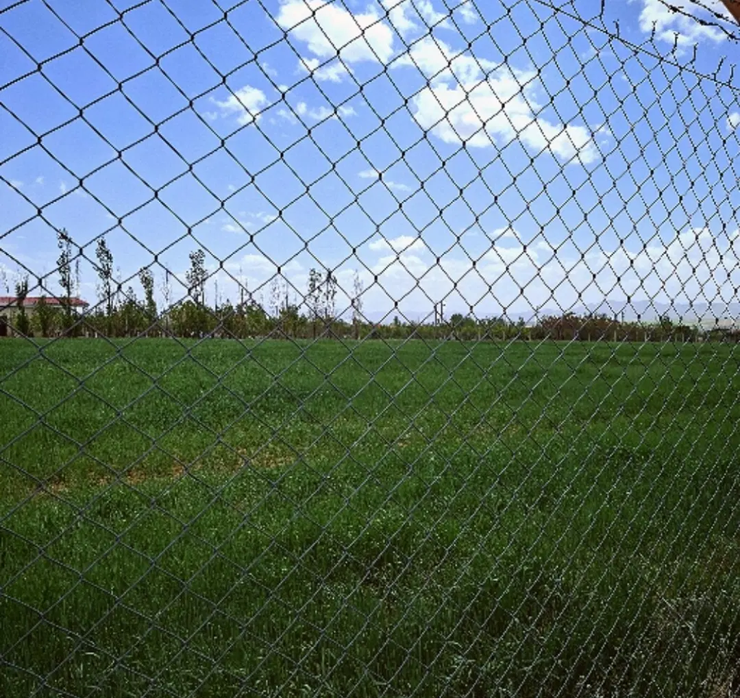 زمین اجاره برای گوجه