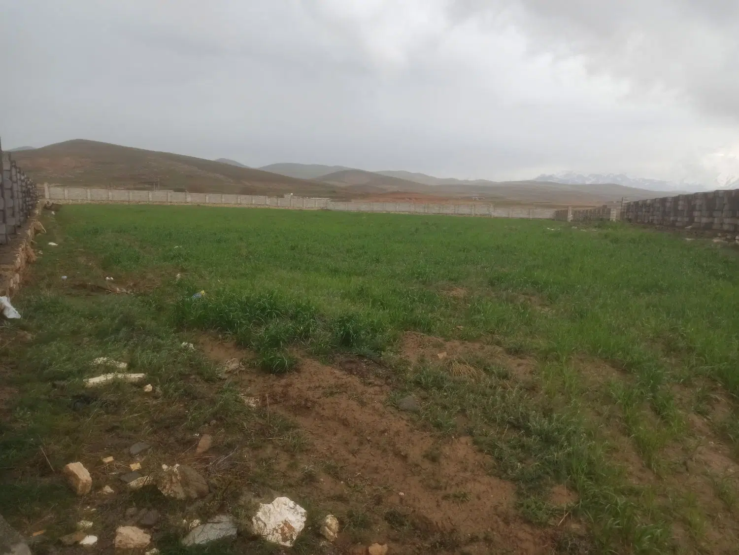 زمین رایگان با مجوز گلخانه جهت کسب و کار