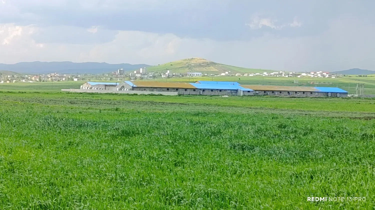 زمین کشاورزی نمین روستایی کشاورزی دگرماندرق