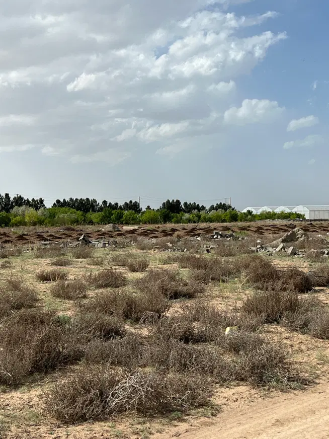 زمین ۲۰۰ متری سهیلیه زعفرانیه