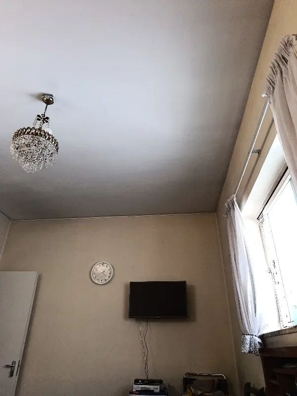 نیازمند همخونه