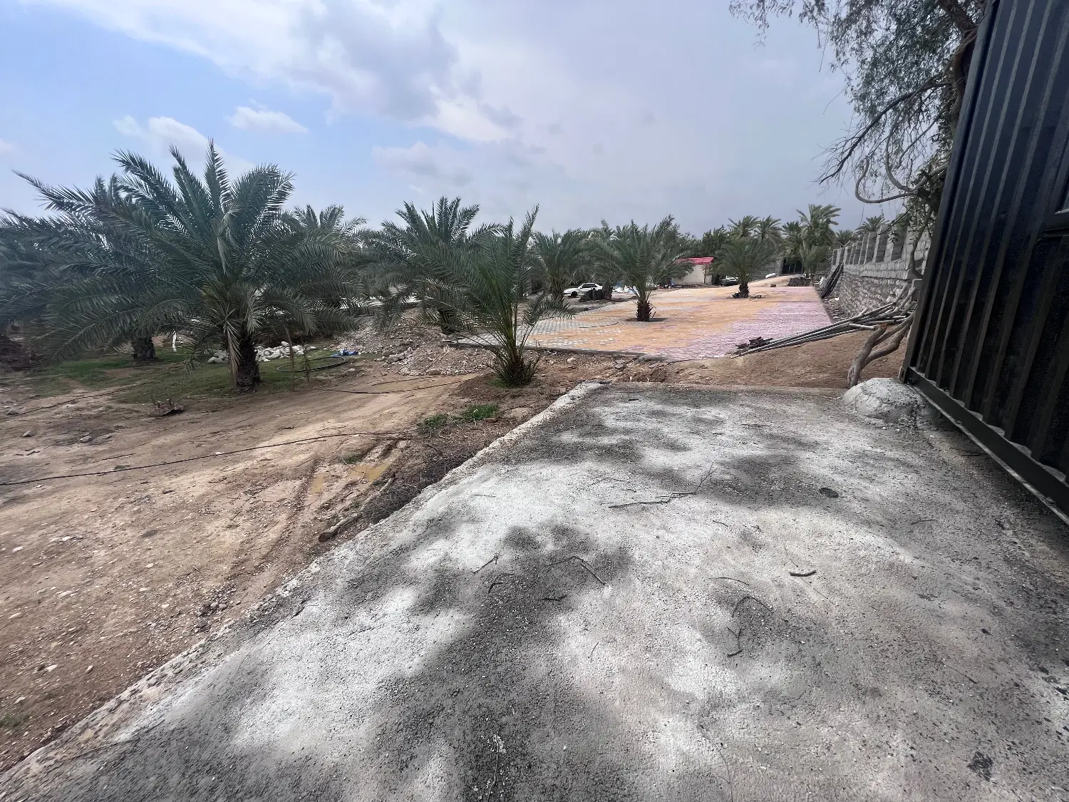 باغ و‌زمین سرخون