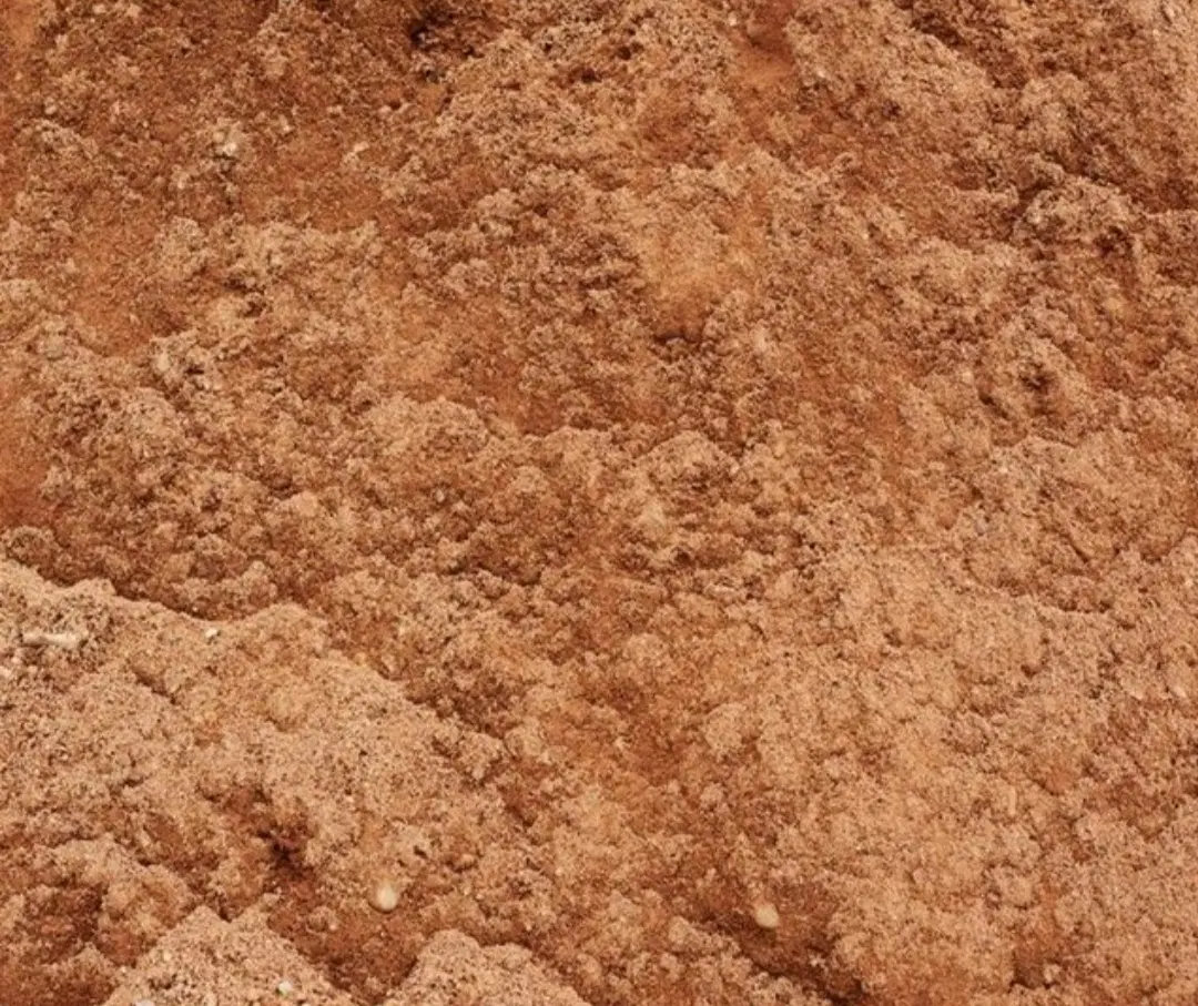 زمین