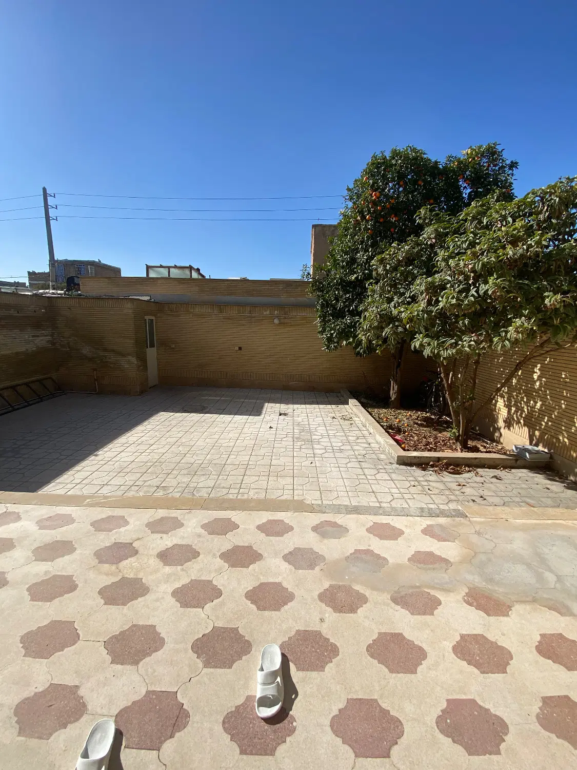 ۲۳۰ متر سند تک برگ
