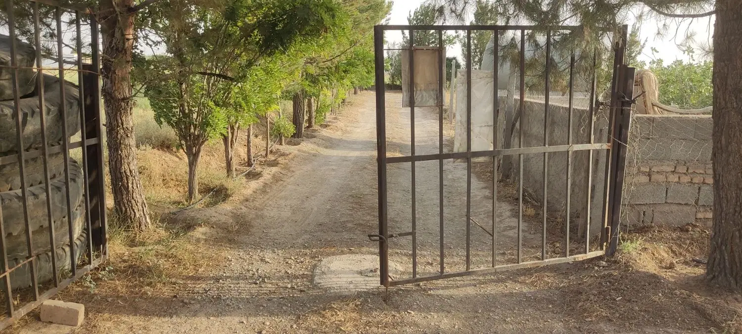 باغ پسته و انار فروشی