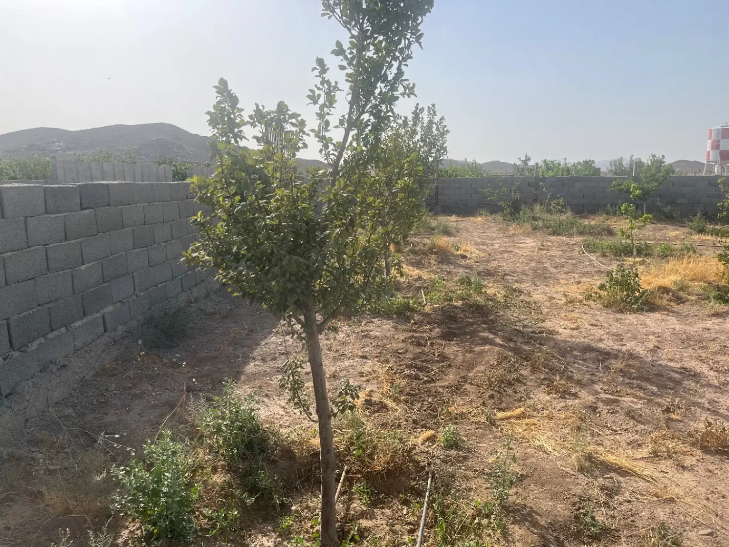 باغ وباغچه ویلایی
