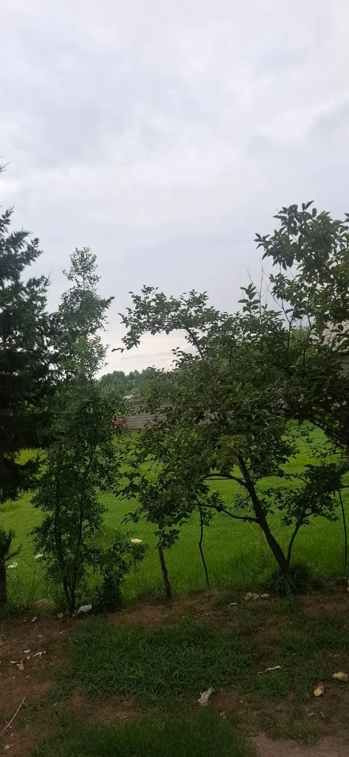 زمین مسکونی 628 متر سالکده