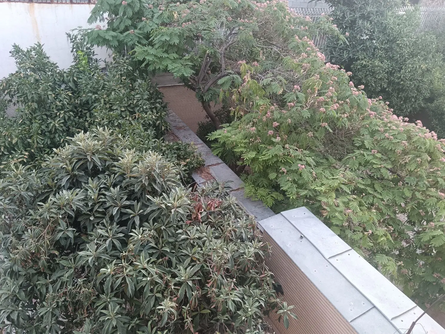 سه خوابه 250 متری _ جنوبی _ قدوسی غربی_ طبقه دوم