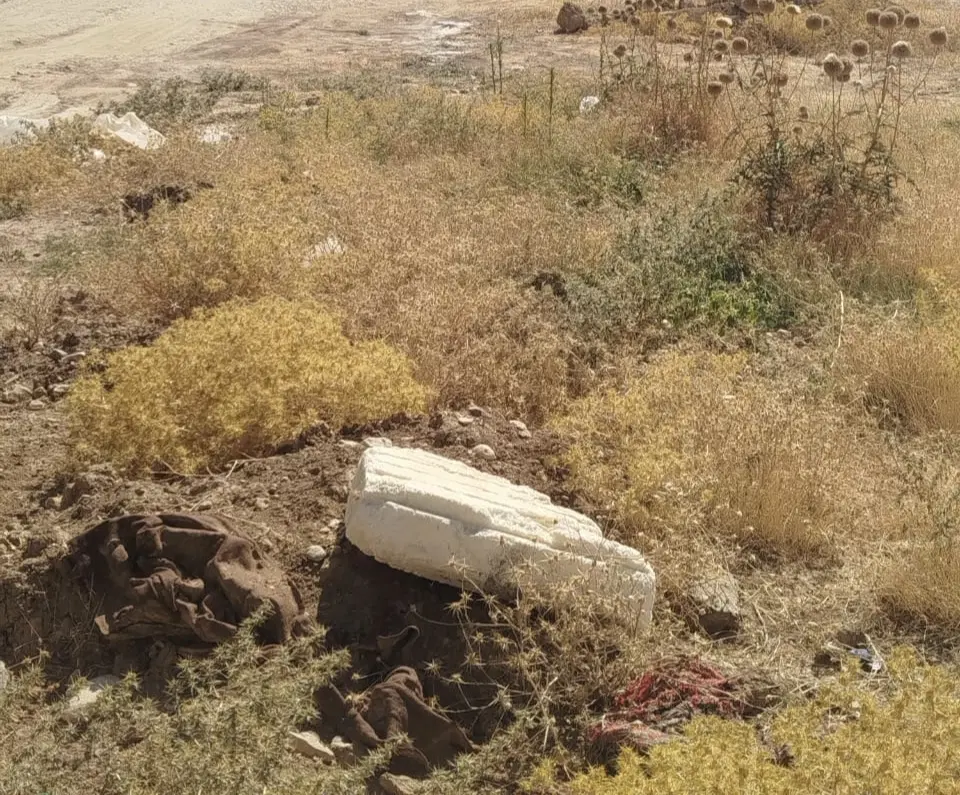 زمین بلوار ارم