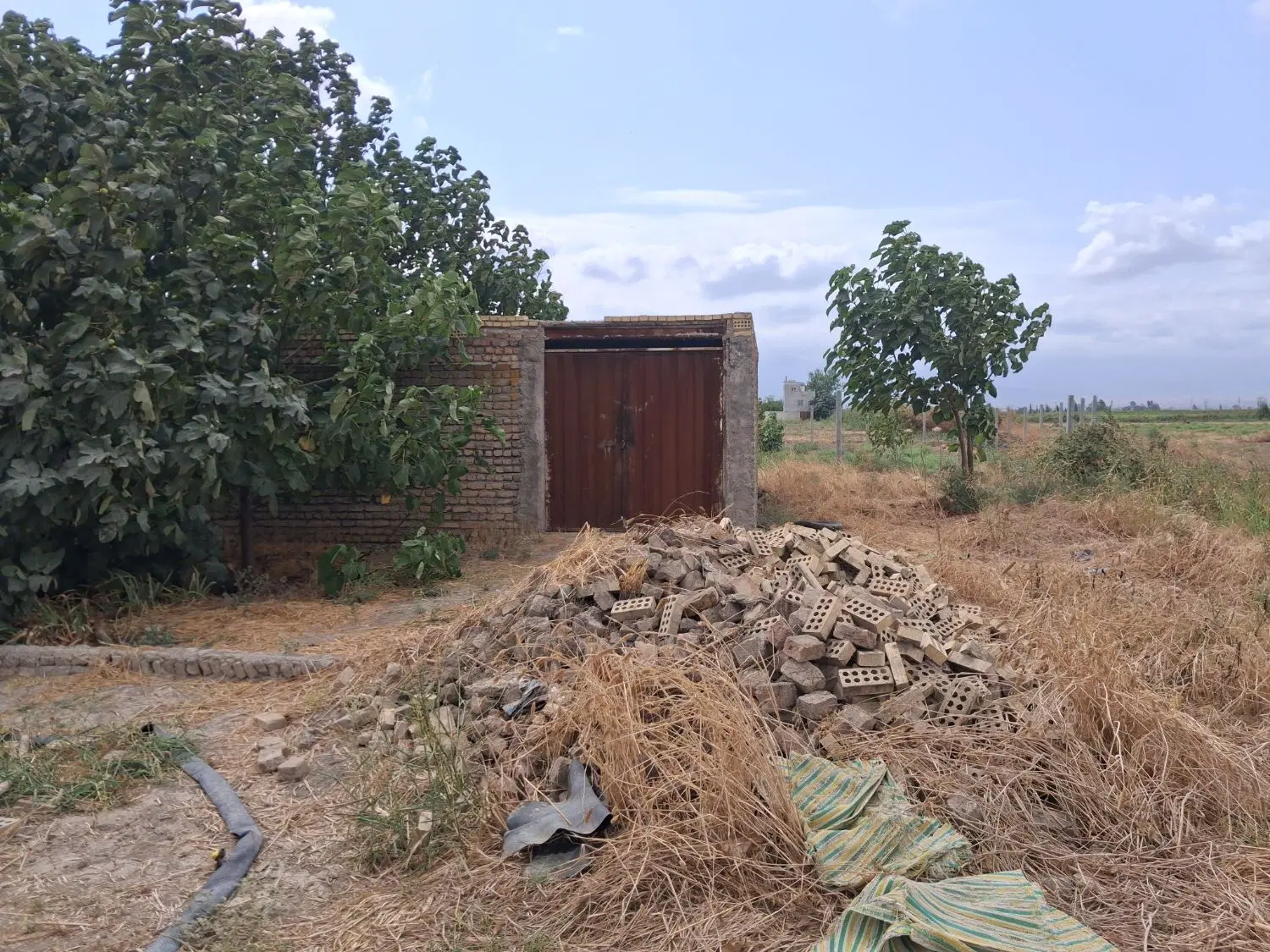 زمین کشاورزی و باغی روستای سلطان آباد
