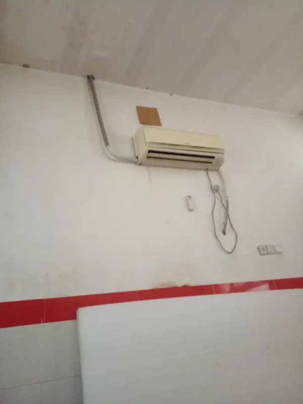 همخونه