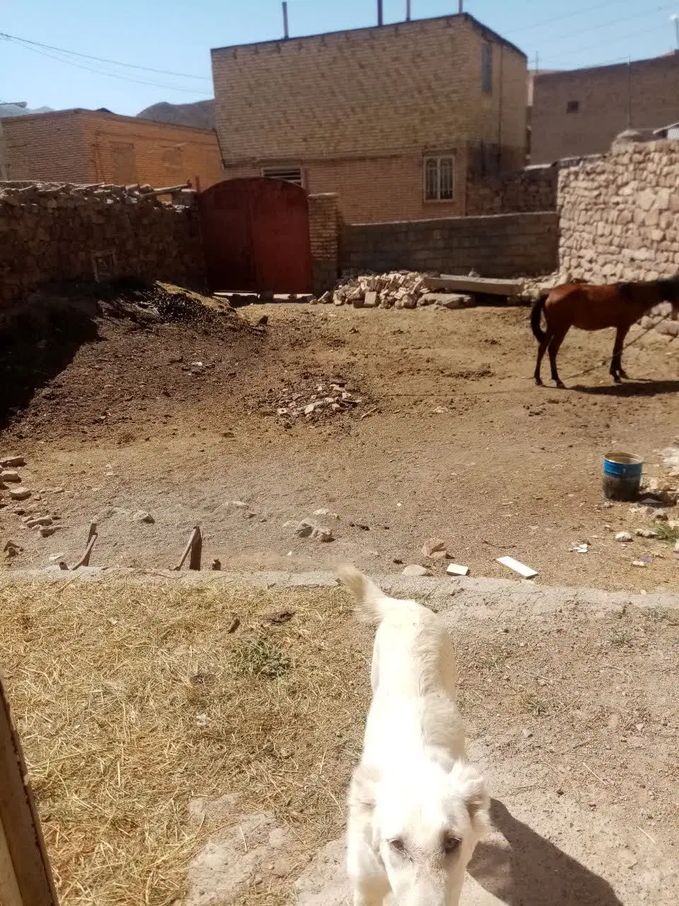 فروش یاتعویض خانه ویلایی امرودک با مشهد