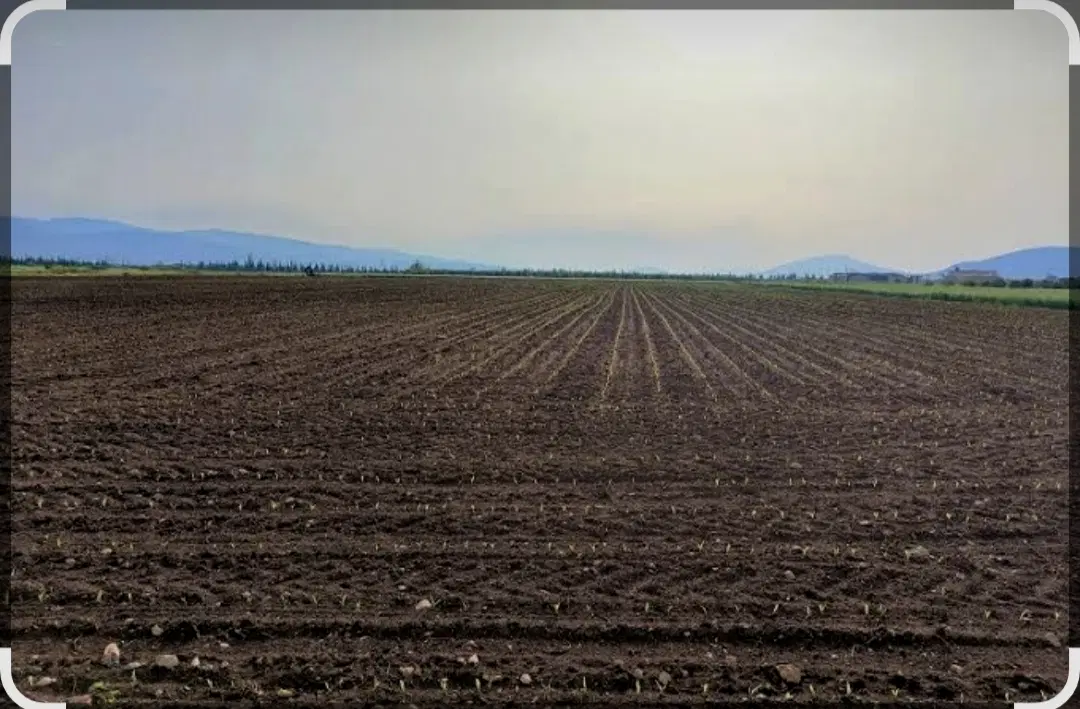 زمین کشاورزی با امکانات