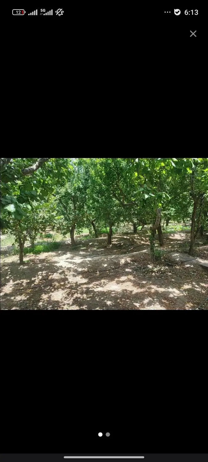 باغچه 500 متری
