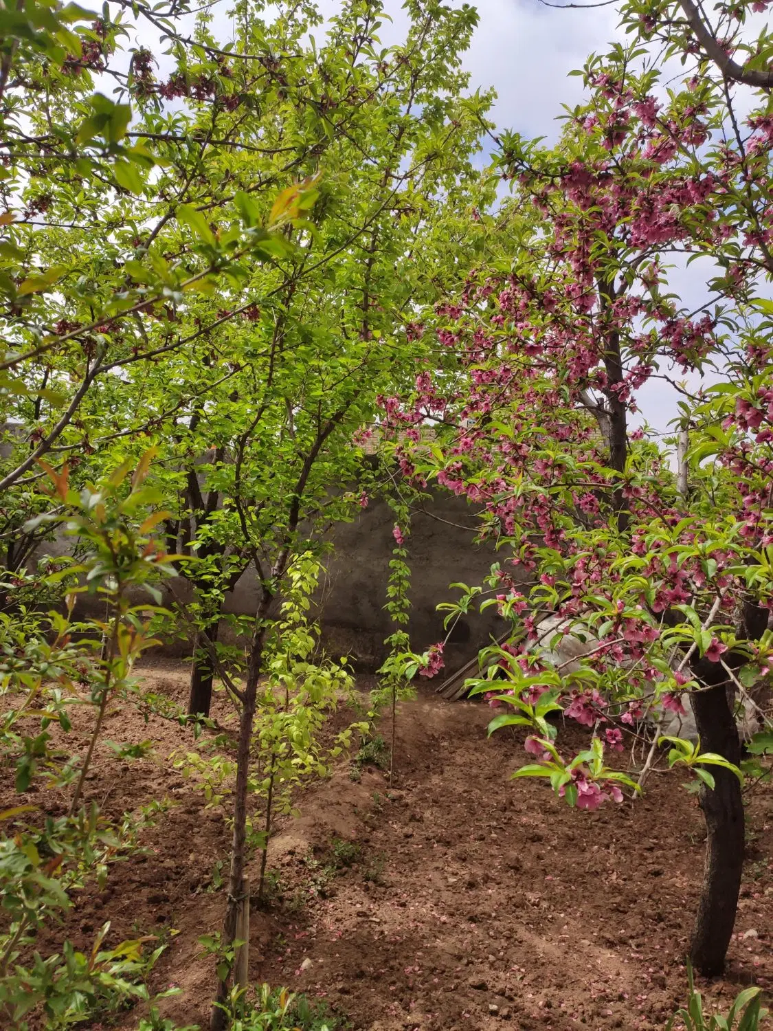 خانه ویلایی سند دار معوظه بامسکن مهر گلبهار
