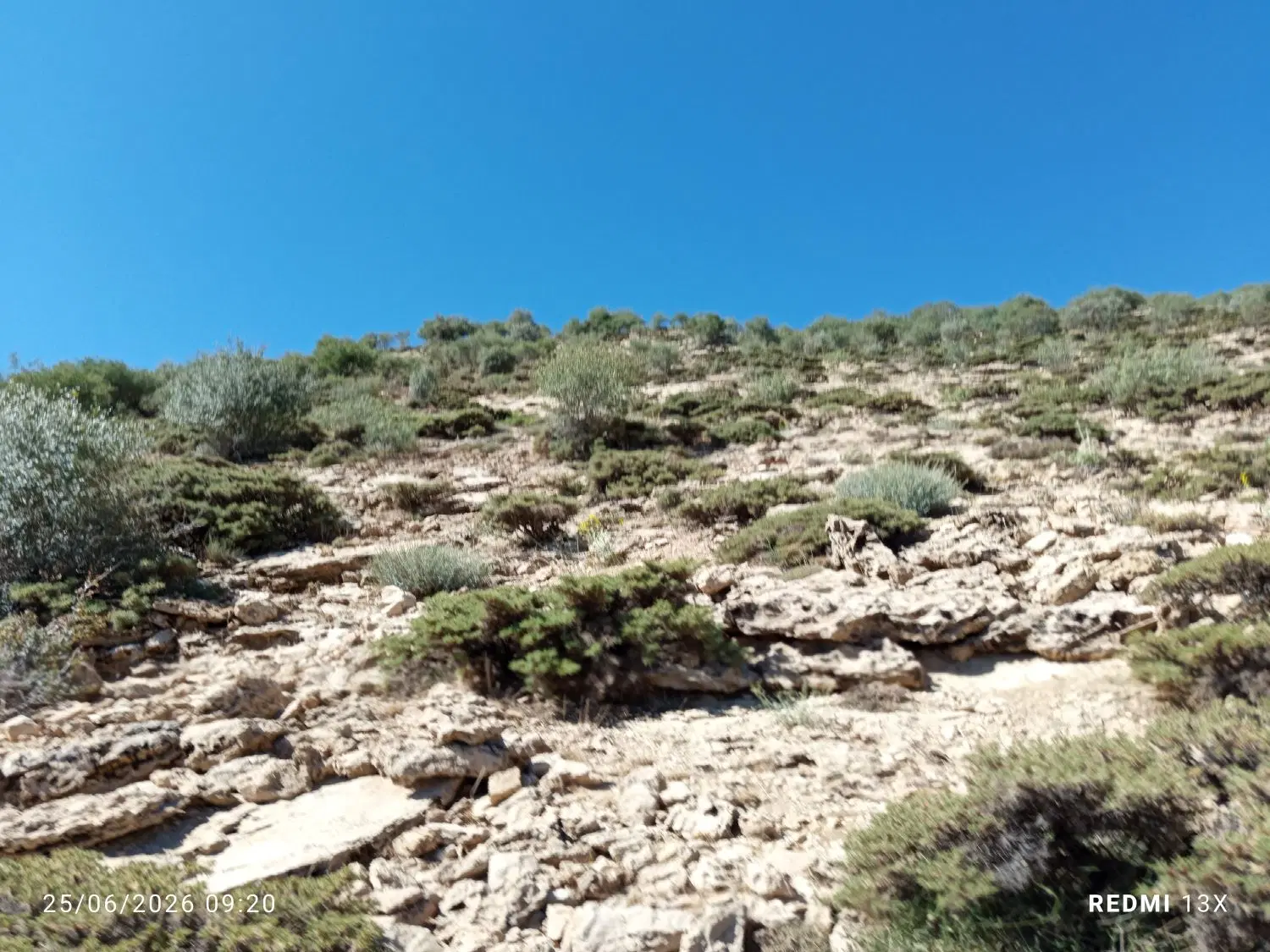 زمین 170متری سرطاف روبرو پاسگاه