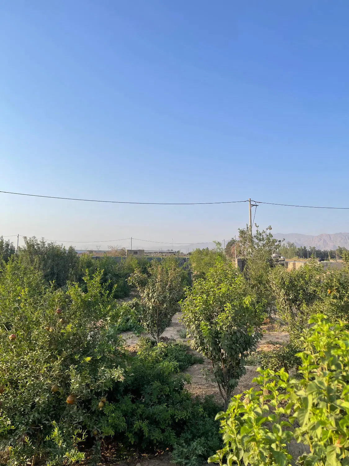 باغ نبش جاده اصلی زیر قیمت