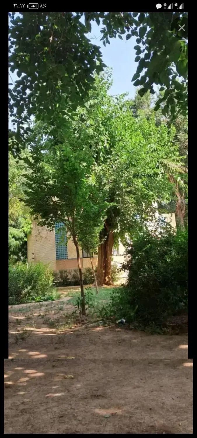 زمین  260متر