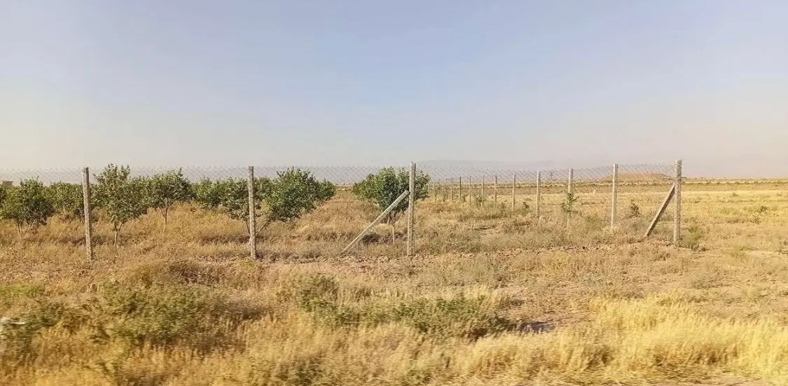 زمین تعاونی انوبوس رانی