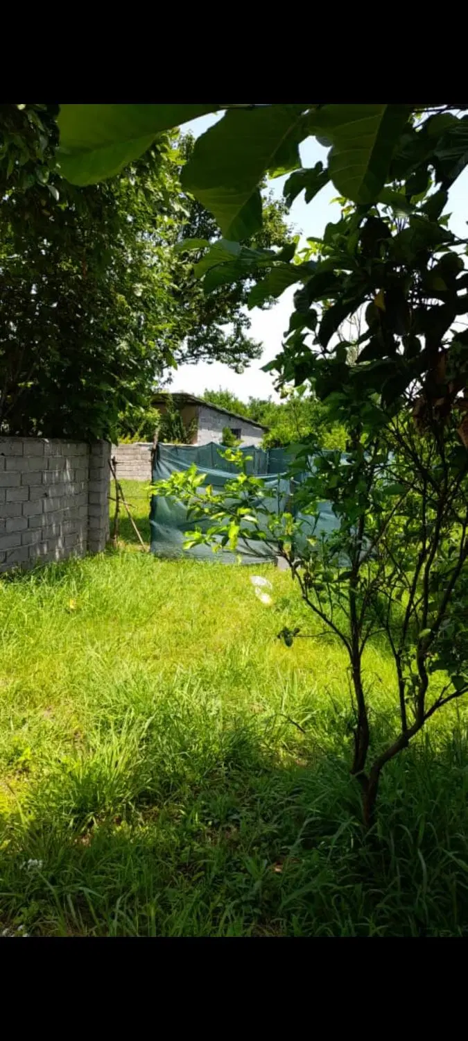 زمین  تنکابن روستای مزرک  فروش فوری بابت جا به جای