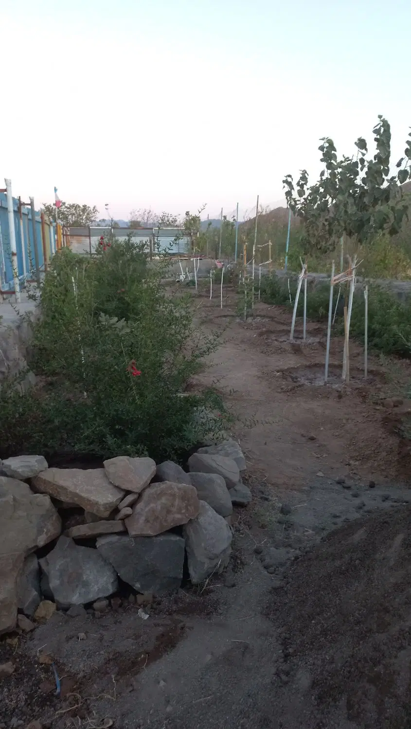 باغچه