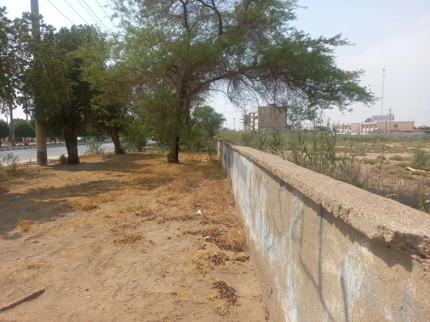 فروش زمین