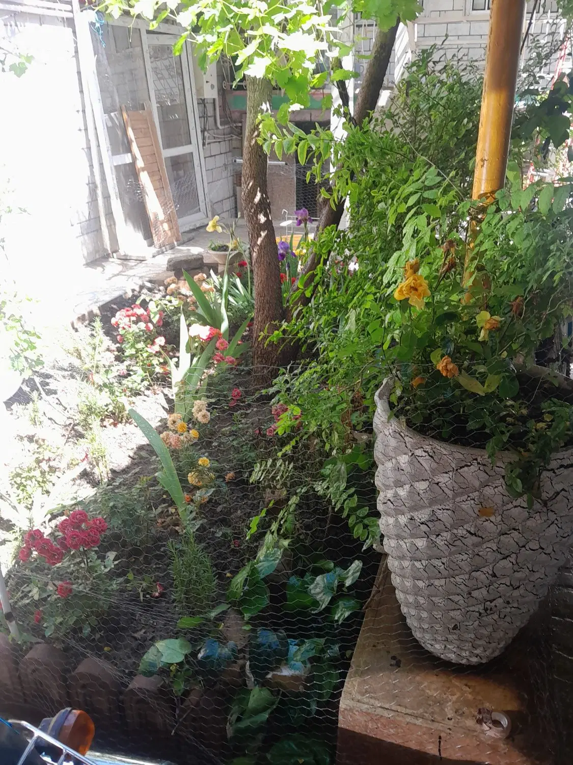 رهن واجاره