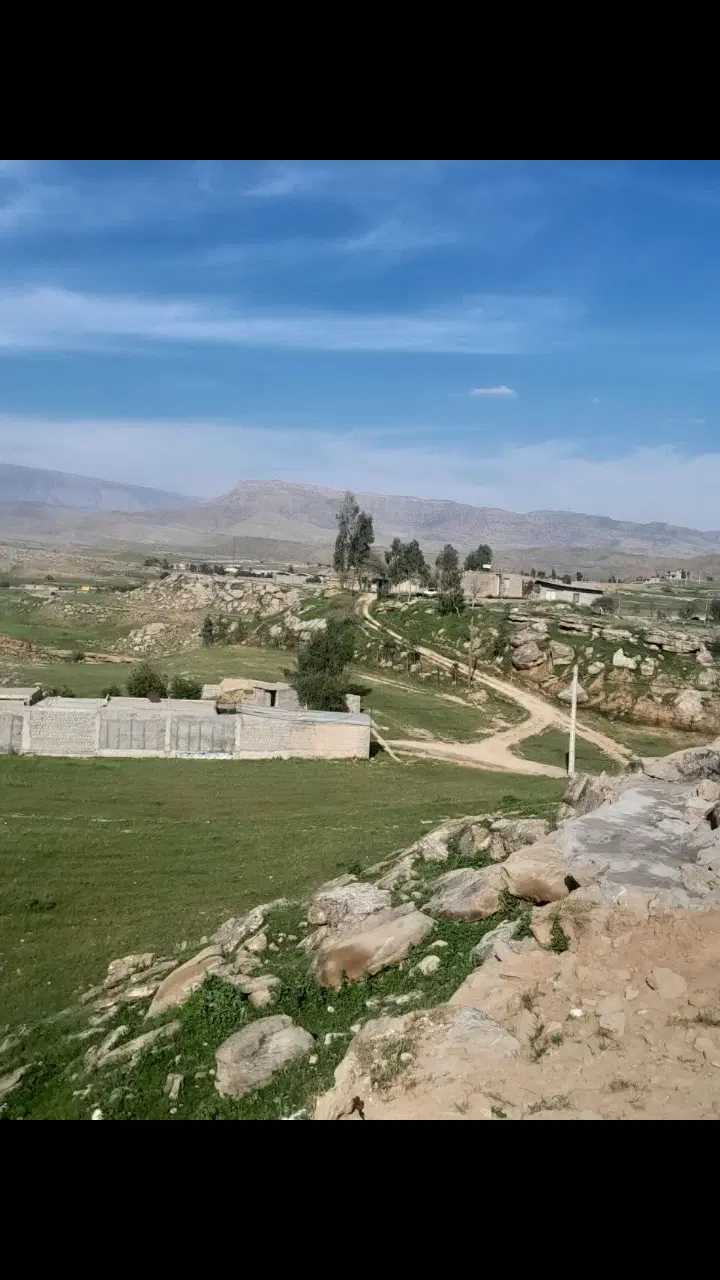 شهیون