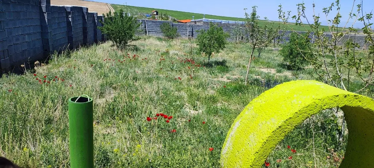 فروش زمین باغی
