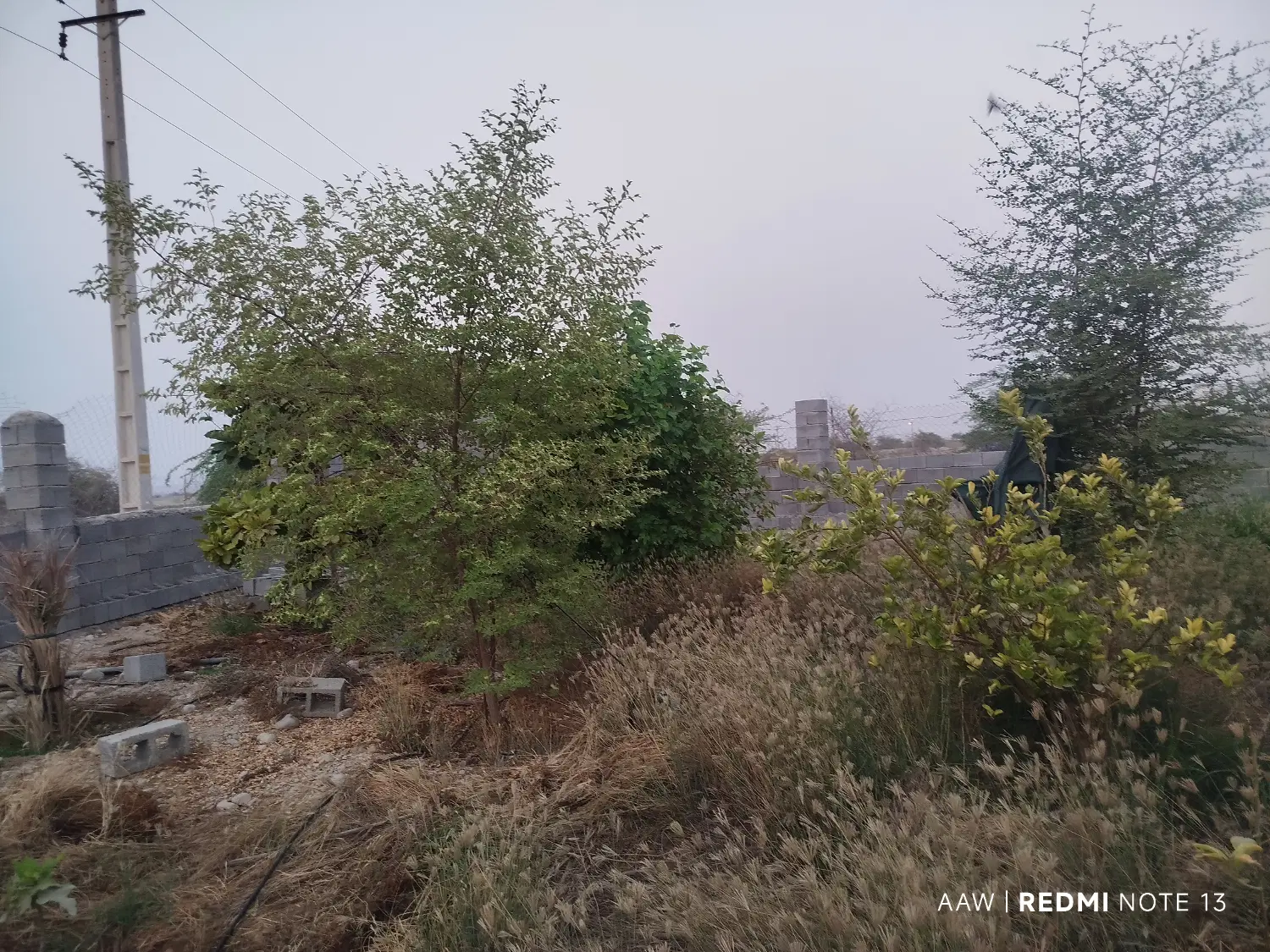 زمین و ویلا سرخون