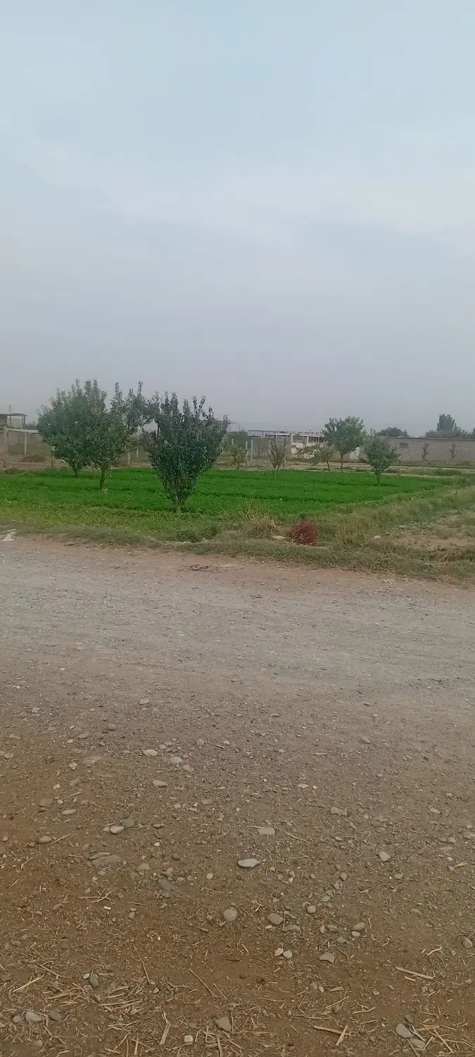 قراملک زمین ویلایی و زراعی