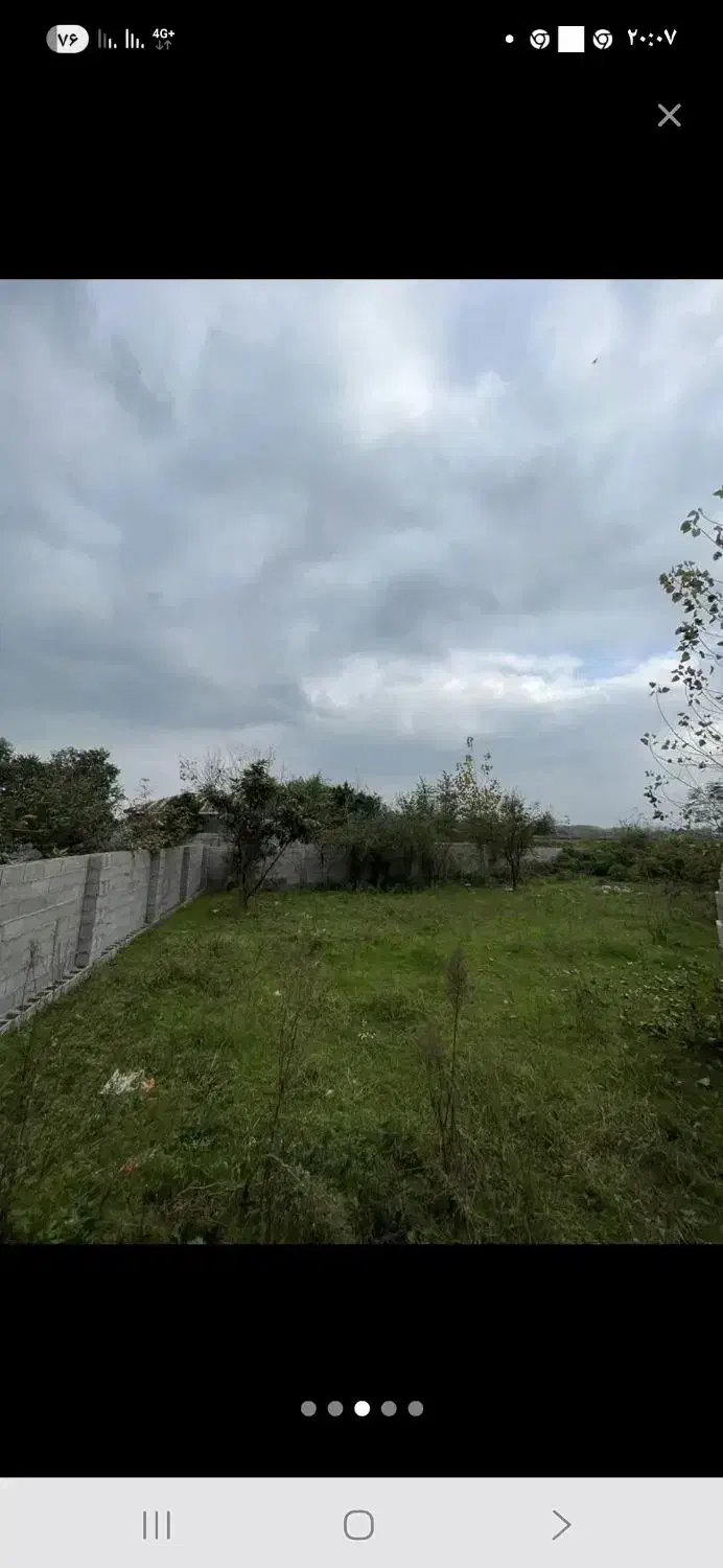 زمین ساحلی