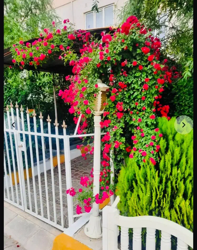همخونه جنب میدان اصلی_ بعد از ارسال مشخصات پاسخگوم